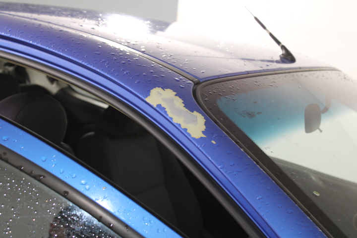 Stalking Horse Pinot Grigio 2025 (12x 750mL) Langhorne Creek