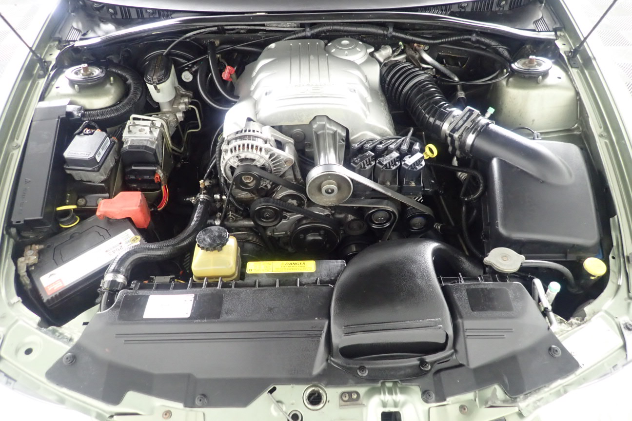 Little Giant 'Organic' Pet Nat 2022 (6x 750mL) SA