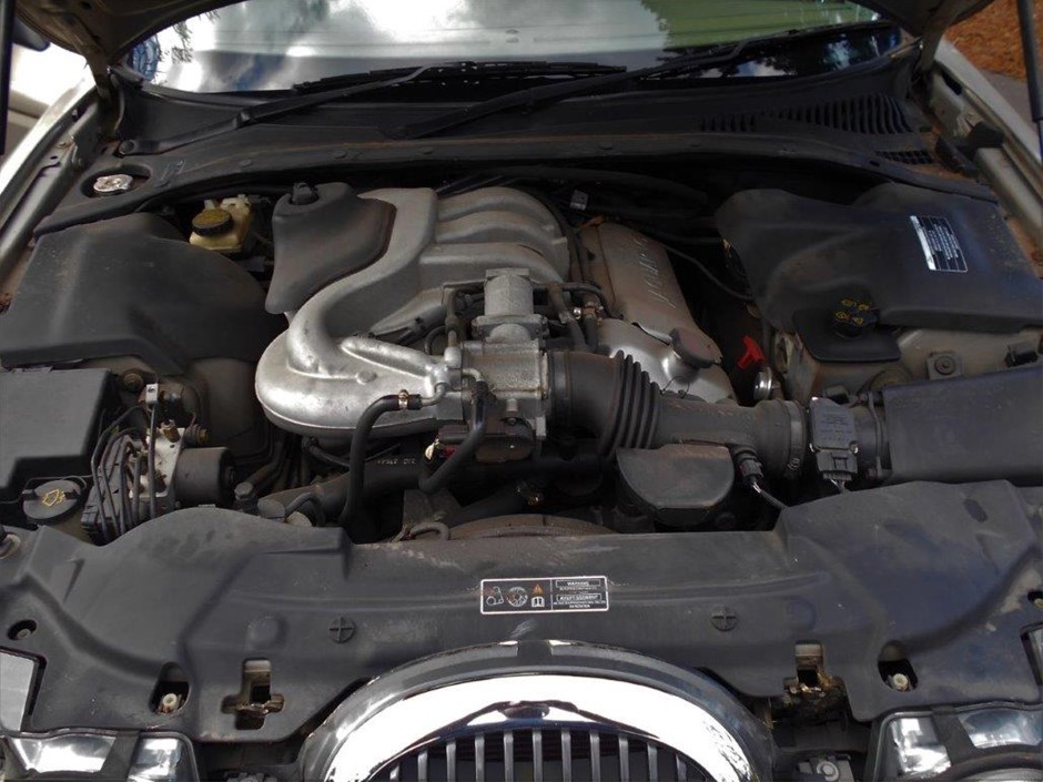 1/10 Oz 999.5 Silver Red Kangaroo & Joey 2025 Australian Bullion