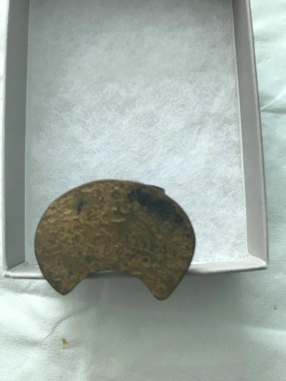 Mega Sharpedo ex Japanese ultra rare card.