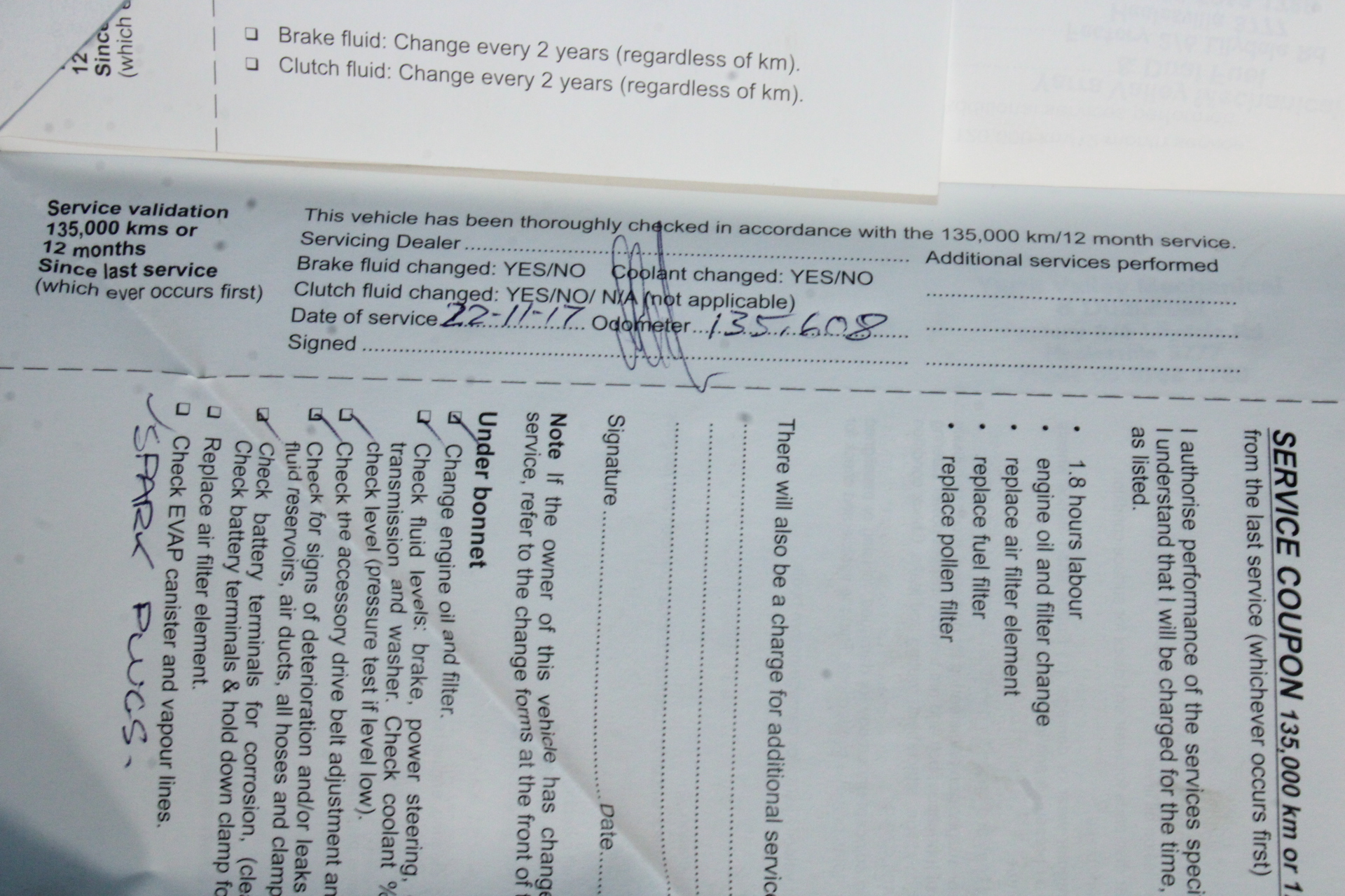 Black Lucky Leaf Necklace in Gold