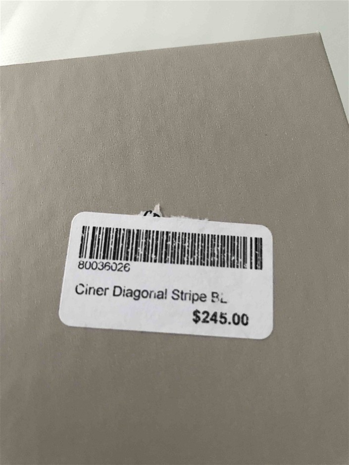 2025 Star Vision CX15 Caravan