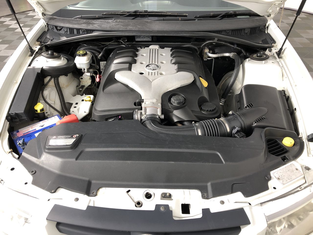 Pioneers First Patch Tempranillo 2024 (12x 750mL) SA