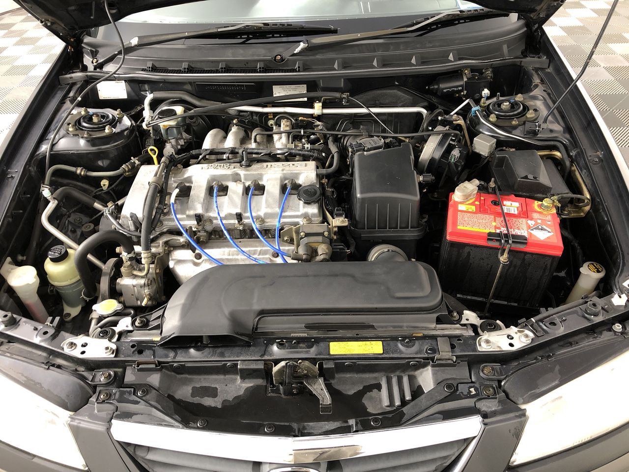 Cleanskin Chardonnay 2025 (12x 750mL) SA