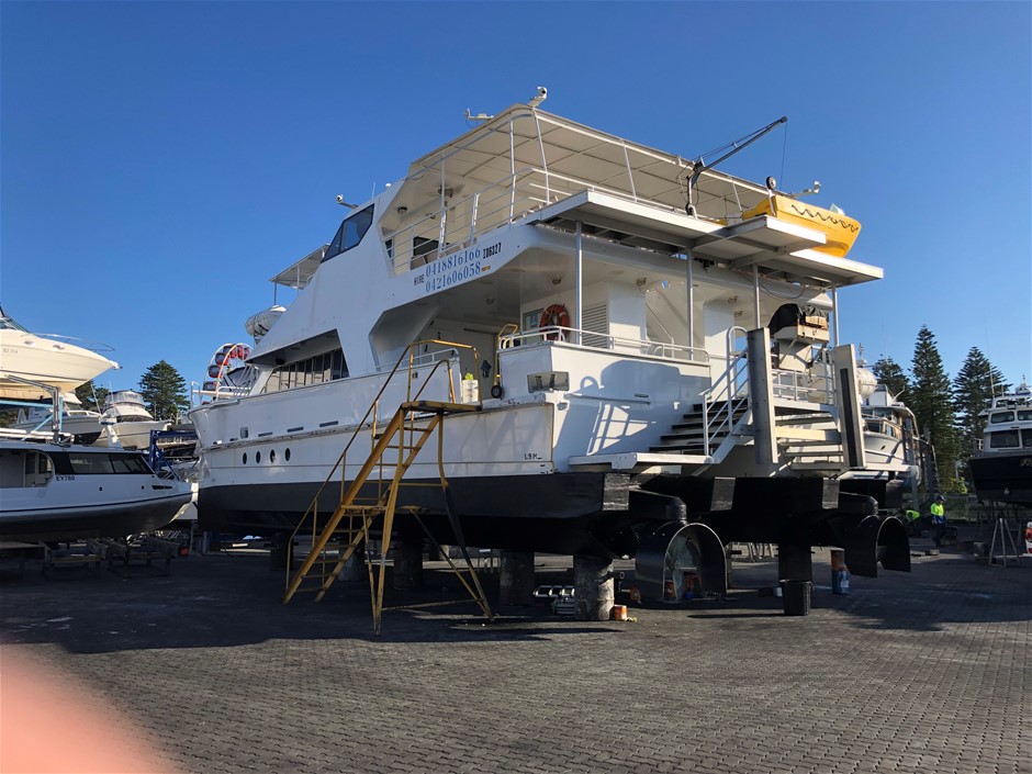 Quantity of 100 1650mm Star Pickets (Unused),