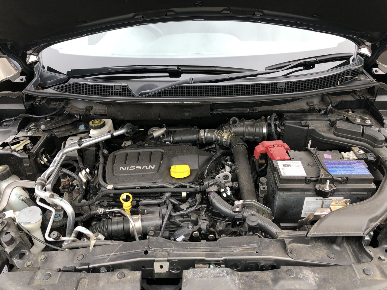 SHARK S1000 Steam Mop. NB: has been used.