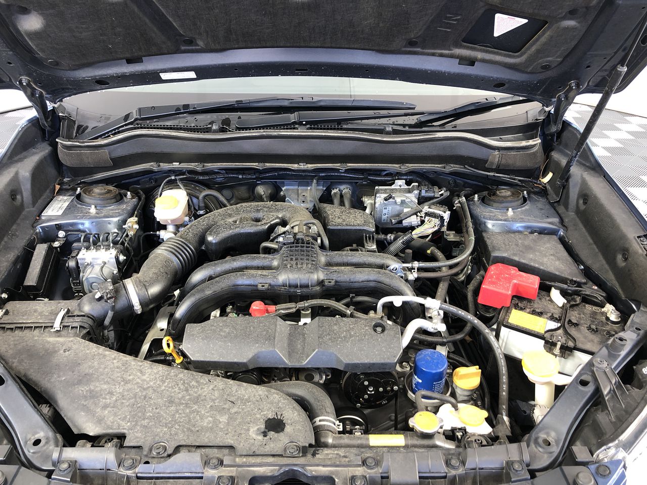 Harvey River Estate Rose 2023 (6x 750mL) WA