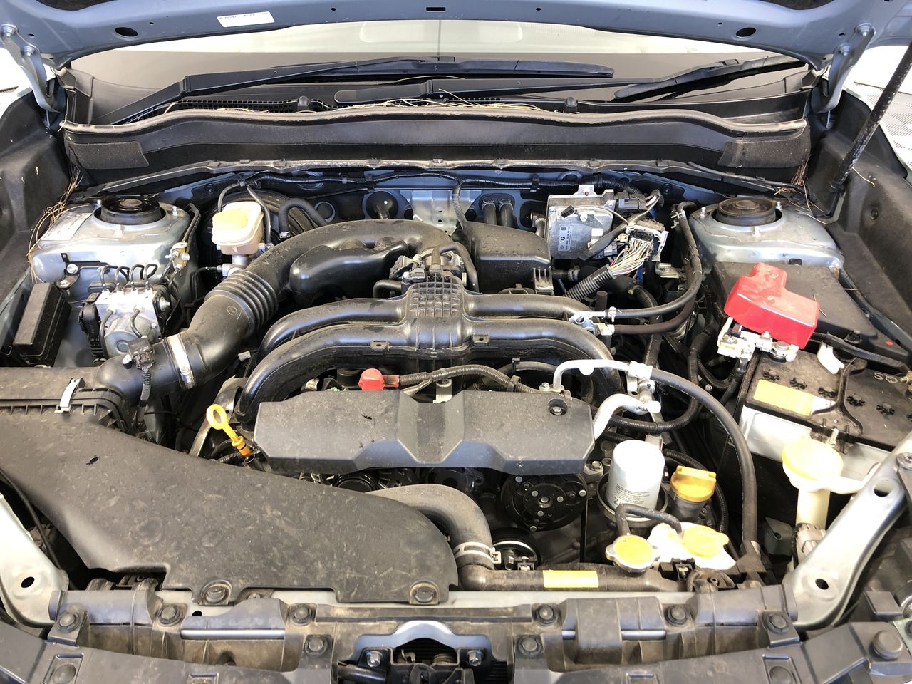 Next Crop NC Red Dolcetto Aglianico Carignan 2022 (12x 750mL) SA