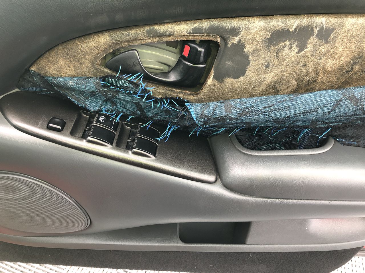 ENGLISH LAUNDRY Men's Polo, Size L, 100% Cotton, Light Grey Heather/Black/W