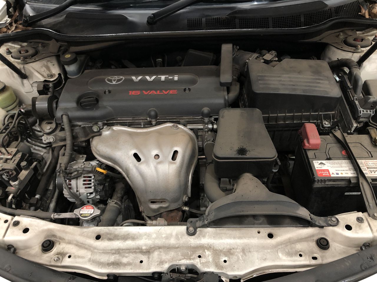 CANTERBURY Men's Anchor Tactic Short 989, Black/Red, Size S