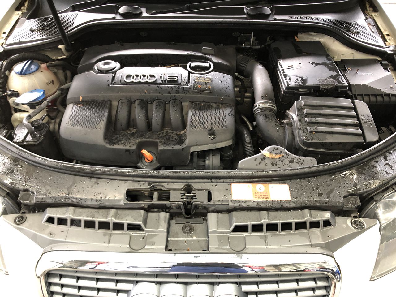 2 Monkeys Chardonnay 2025 (12x 750mL) SEA