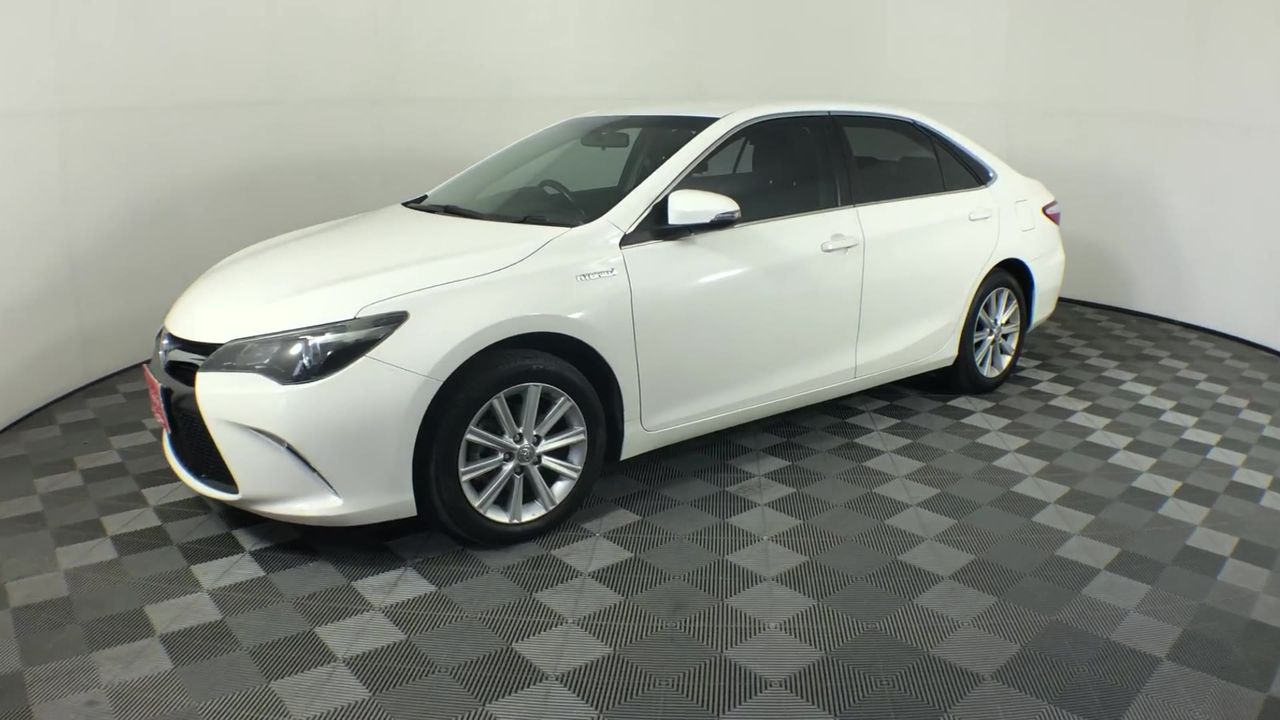 Fishbone Blue Merlot 2023 (6x 750mL) Geographe