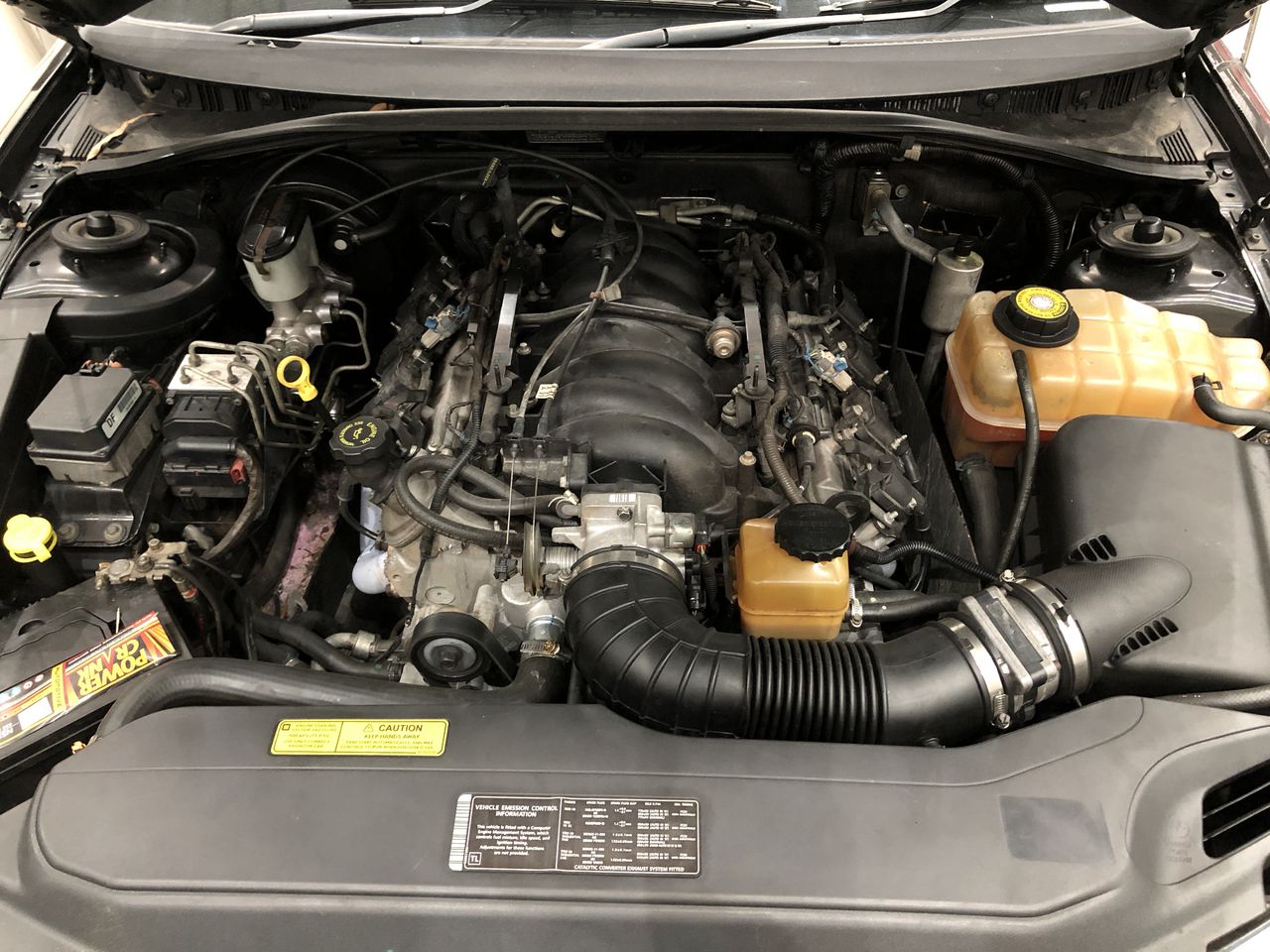 Stalking Horse Rose 2025 (12x 750mL) Langhorne Creek