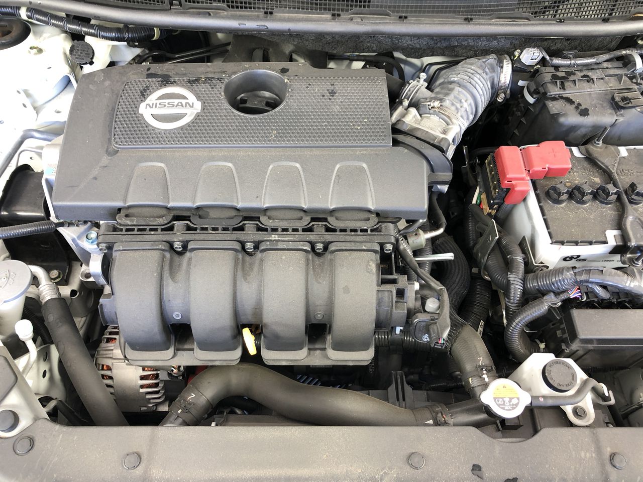 Cleanskin Pinot Grigio 2025 (12x 750mL), SA