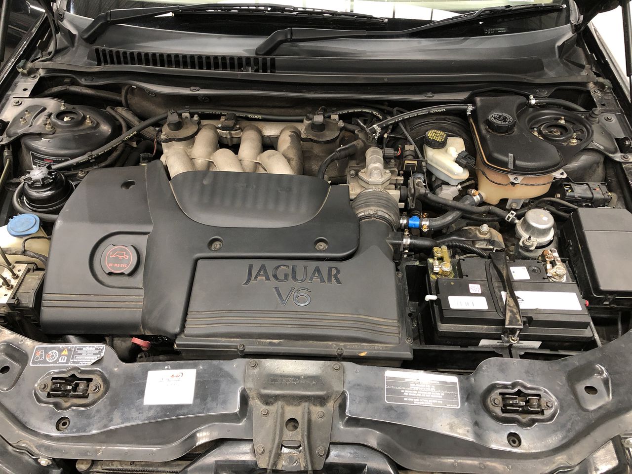 Artan Reserve Cleanskin Shiraz 2021 (12x750mL) SA