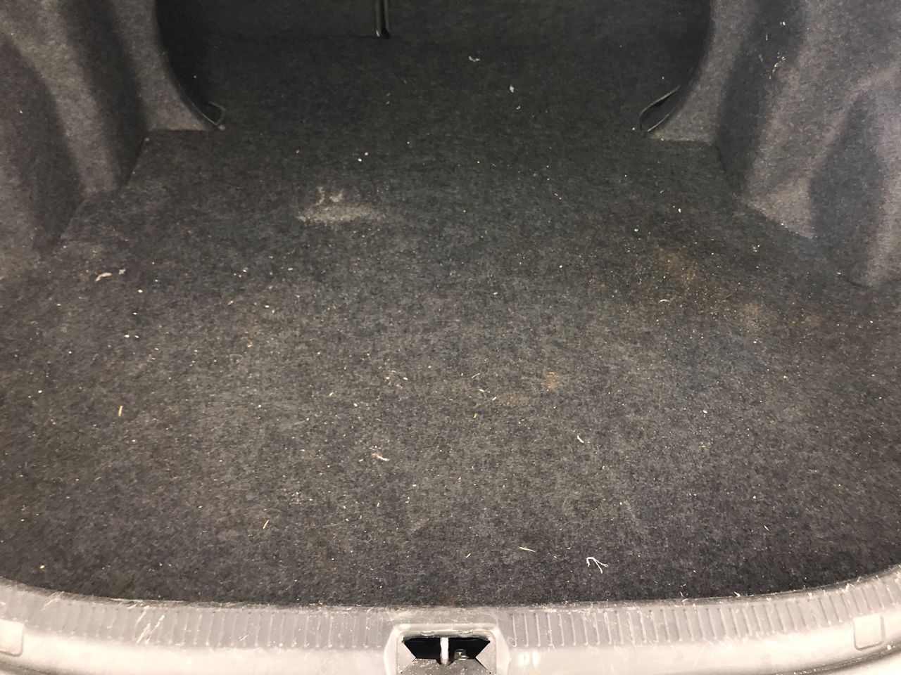 2.75 carats Wello opal certified