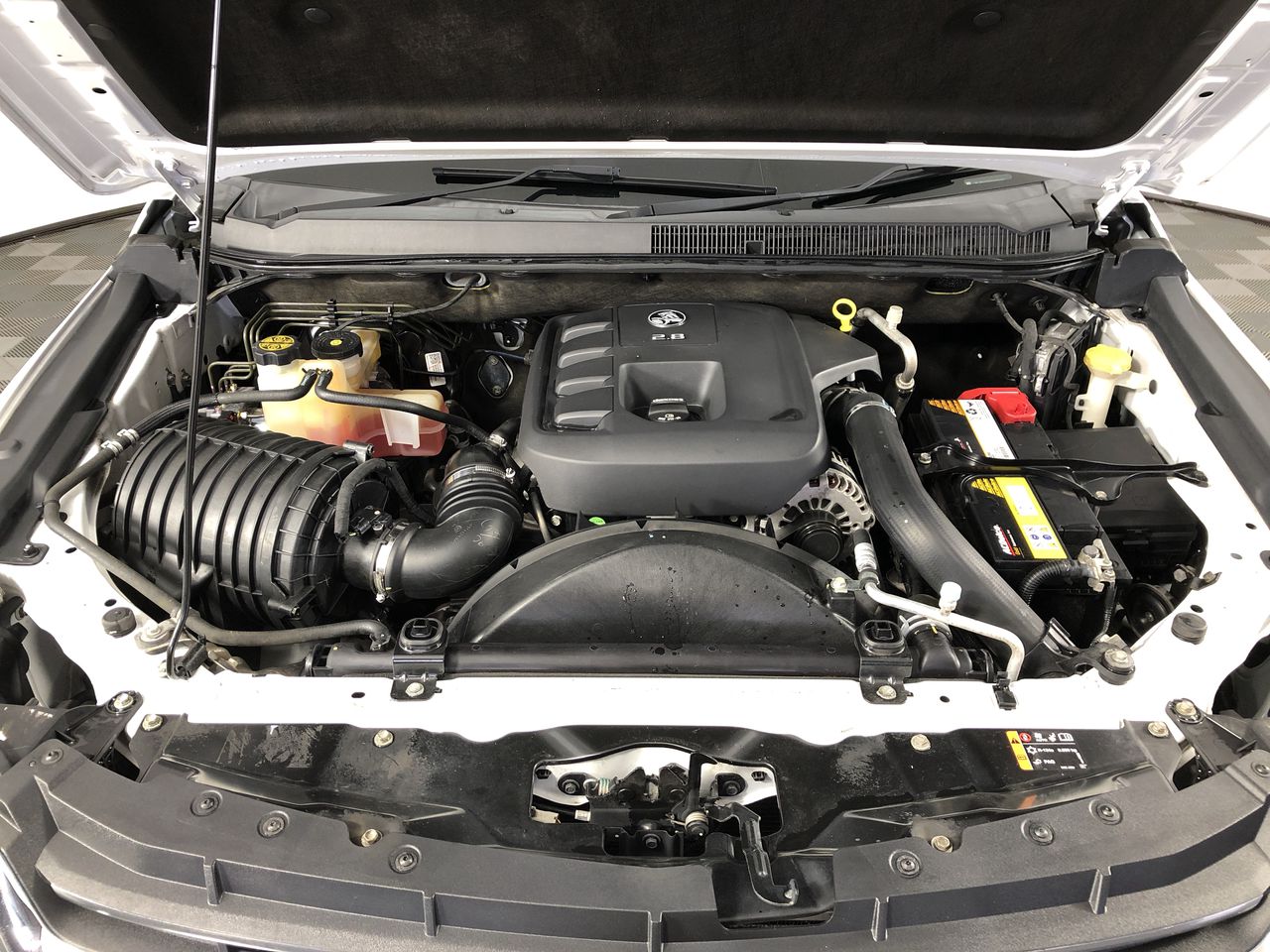 NEW!! LIMITED 2024 BLUEY DOLLARBUCK & BINGO $1 DOLLAR UNC Coin 2 CARD SET