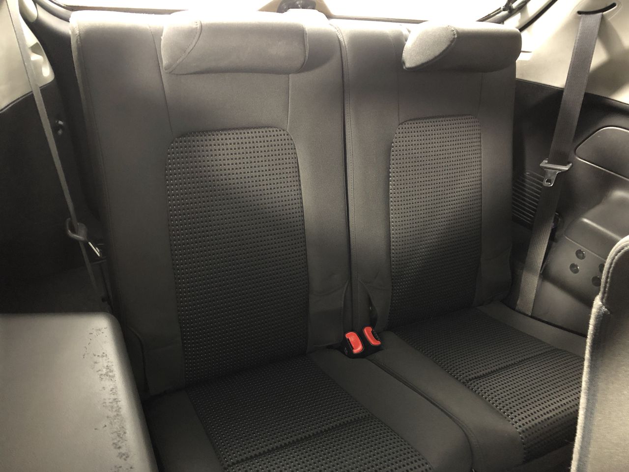 Elefante `El Valiente` Organic Tempranillo 2023 (6x 750mL) Coonawarra