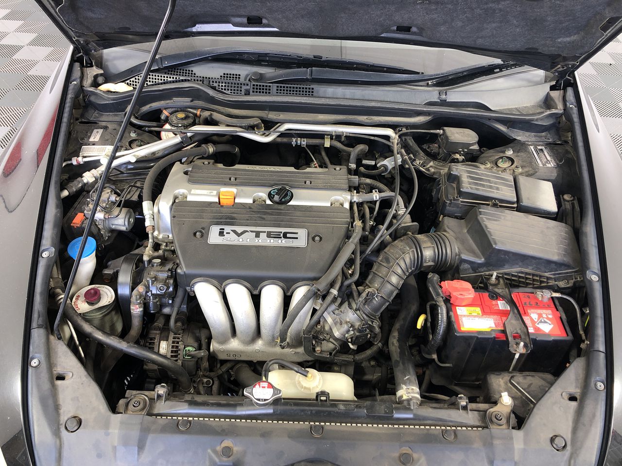 Expandable Container House with 2 Glass Walls & Ensuite(Unused)