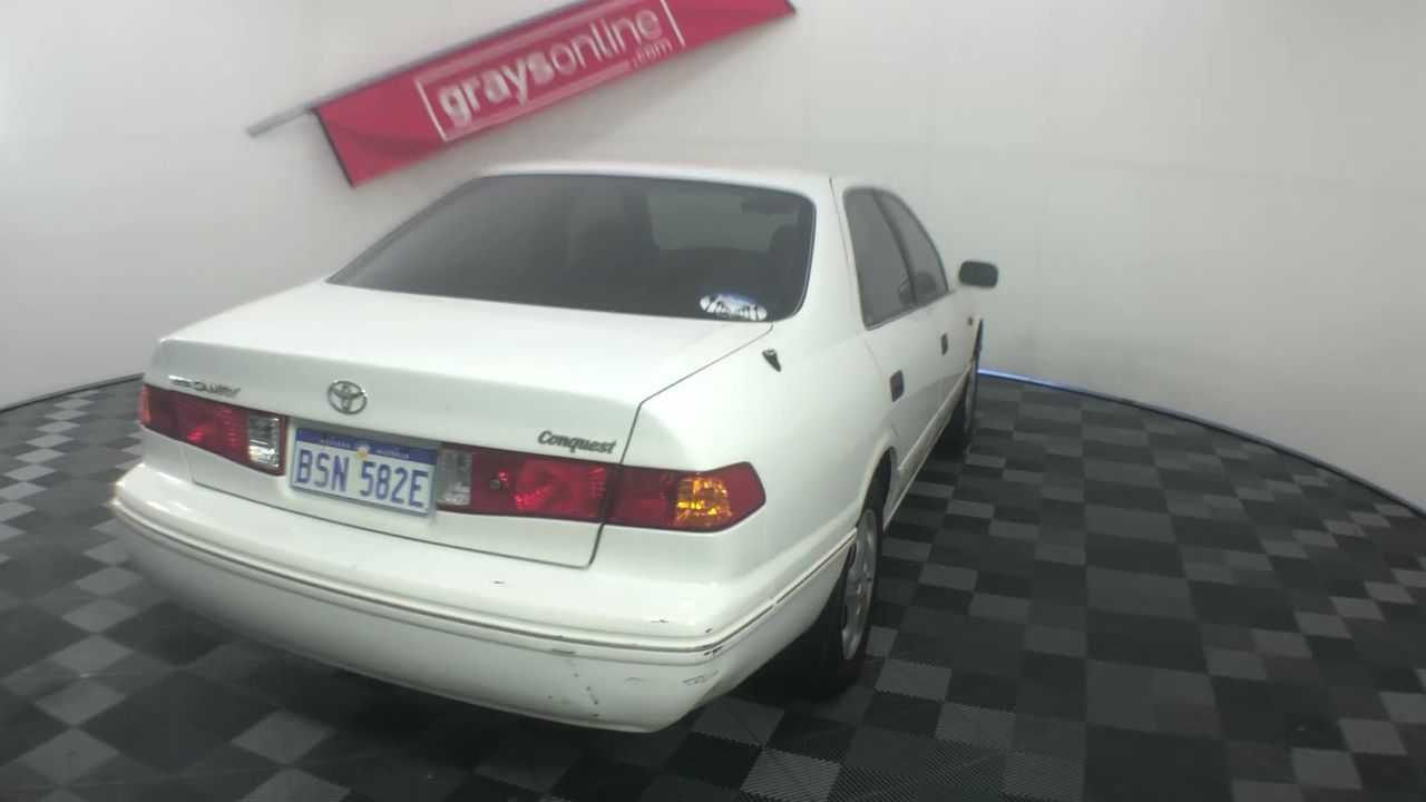 Zilzie Tendril & Vine Pinot Grigio 2024 (12x 750mL) VIC