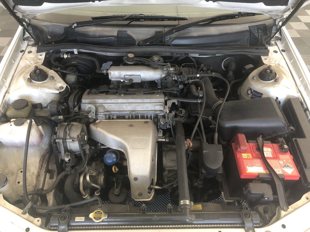 Lake Road Estate Series Sauvignon Blanc 2024 (12x 750mL) NZ