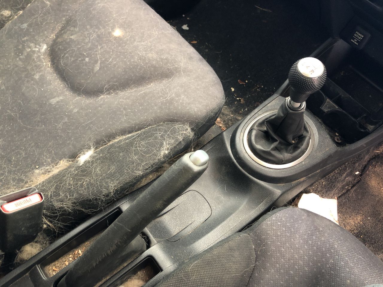 Stalking Horse Sauvignon Blanc 2025 (12x 750mL) Langhorne Creek, SA