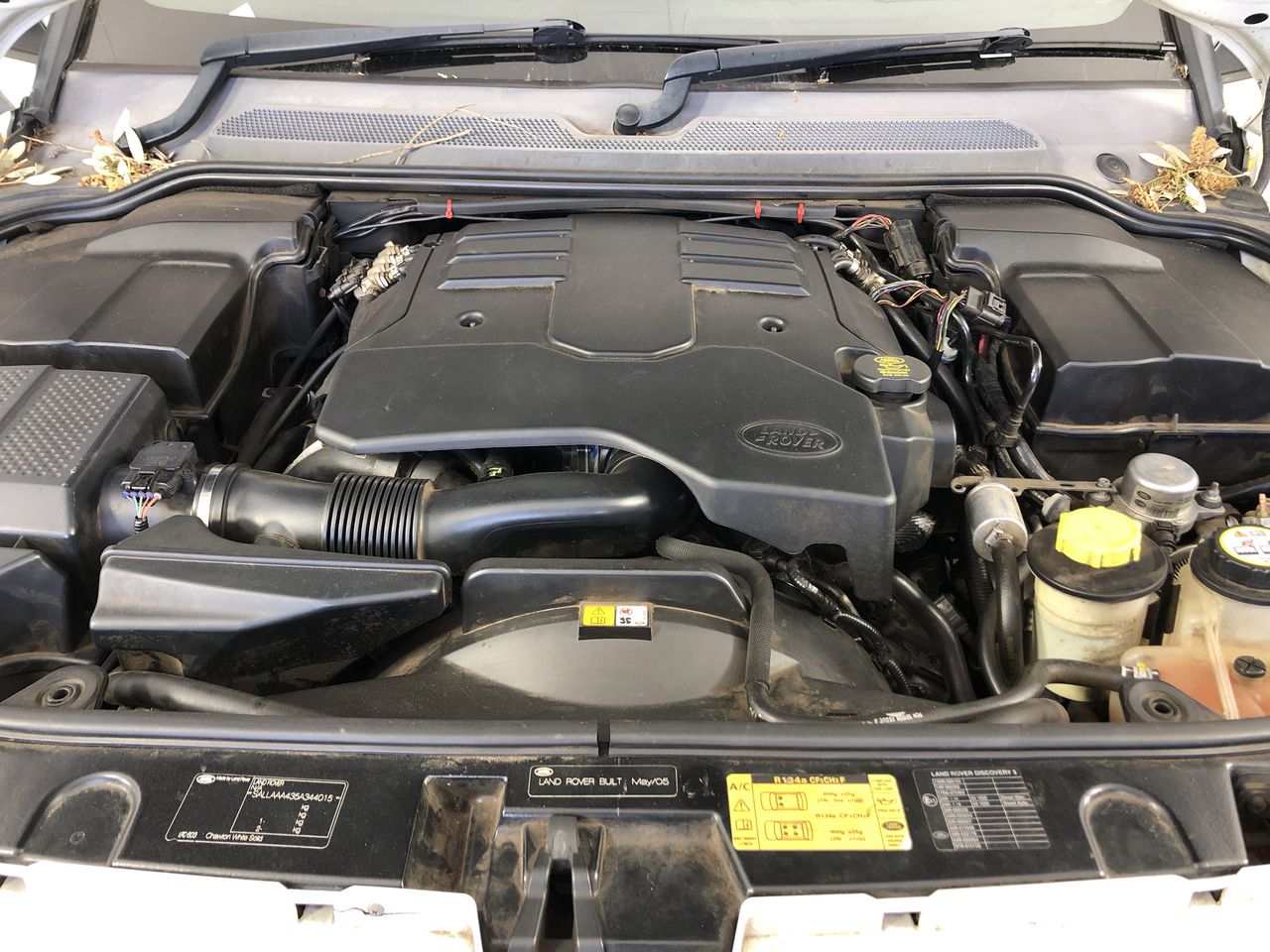 Black Lucky Leaf Necklace in Gold