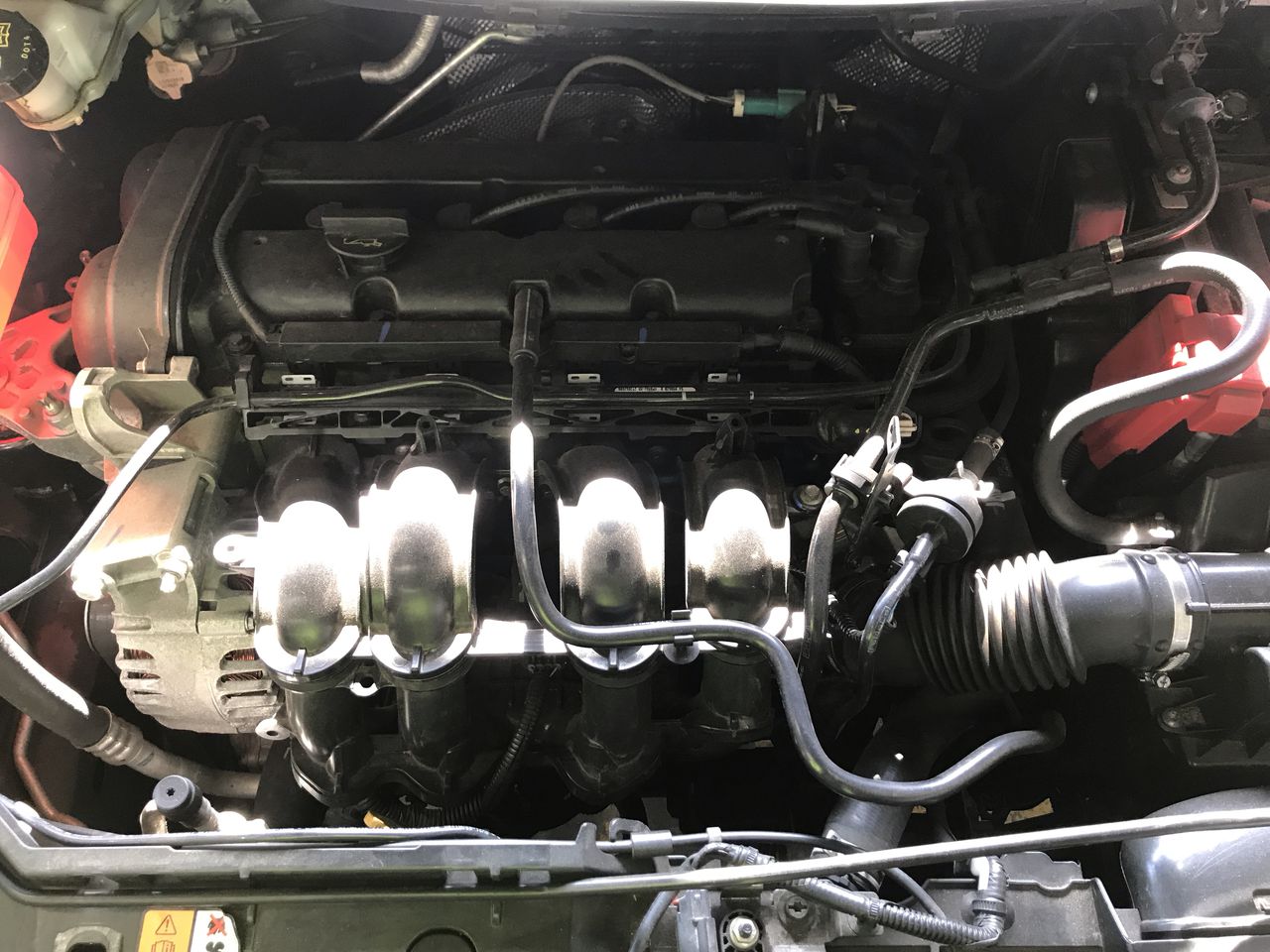 Fuzzy Bare Pinot Noir Piquette (6x 750mL) SA