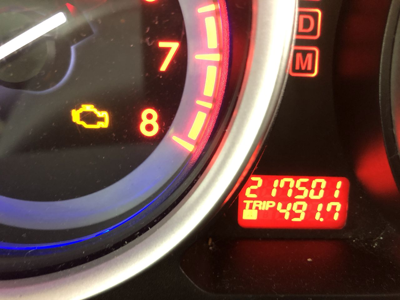 Heavy duty 40ft Container shelter with endwall (Unused)