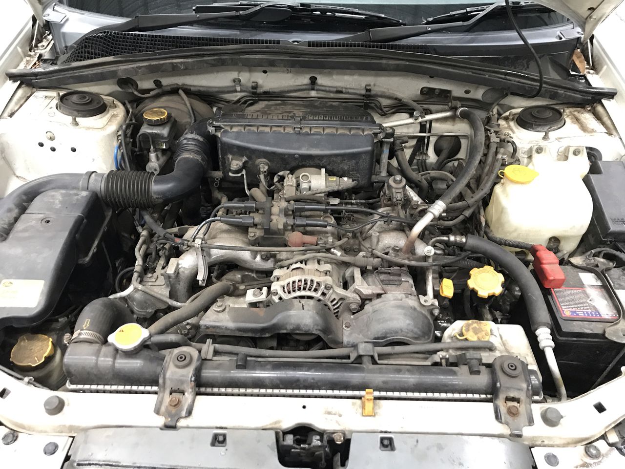 One Kilo of Australia KGV/King George VI/Queen Elizabeth Mix Date & Pennies