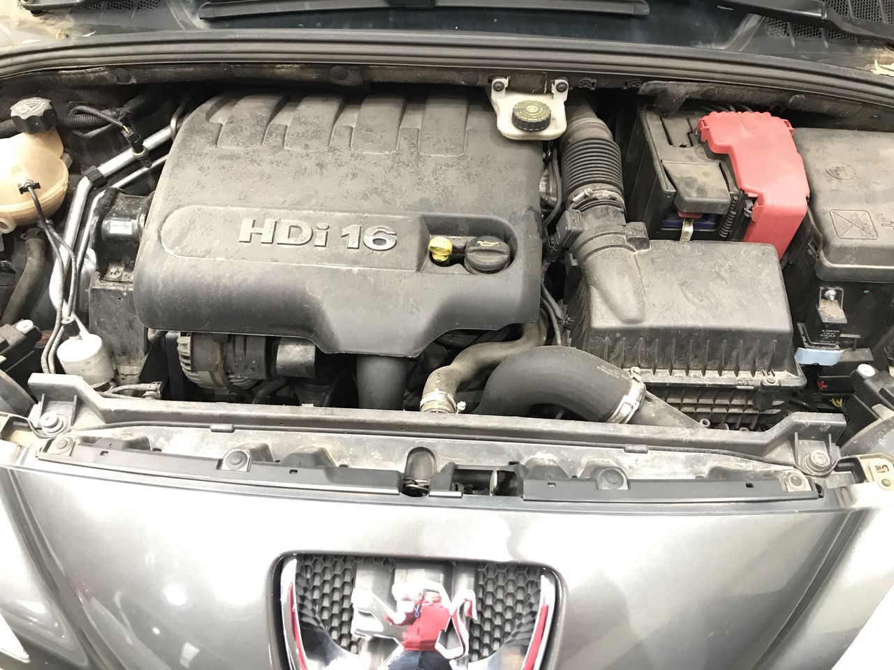 Hazelview Cabernet Sauvignon 2024 (12x 750mL) McLaren Vale