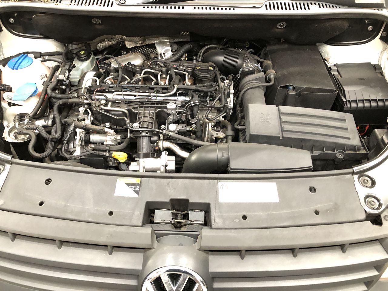 HEAD Riesling 2024 (12x 750mL) Eden Valley