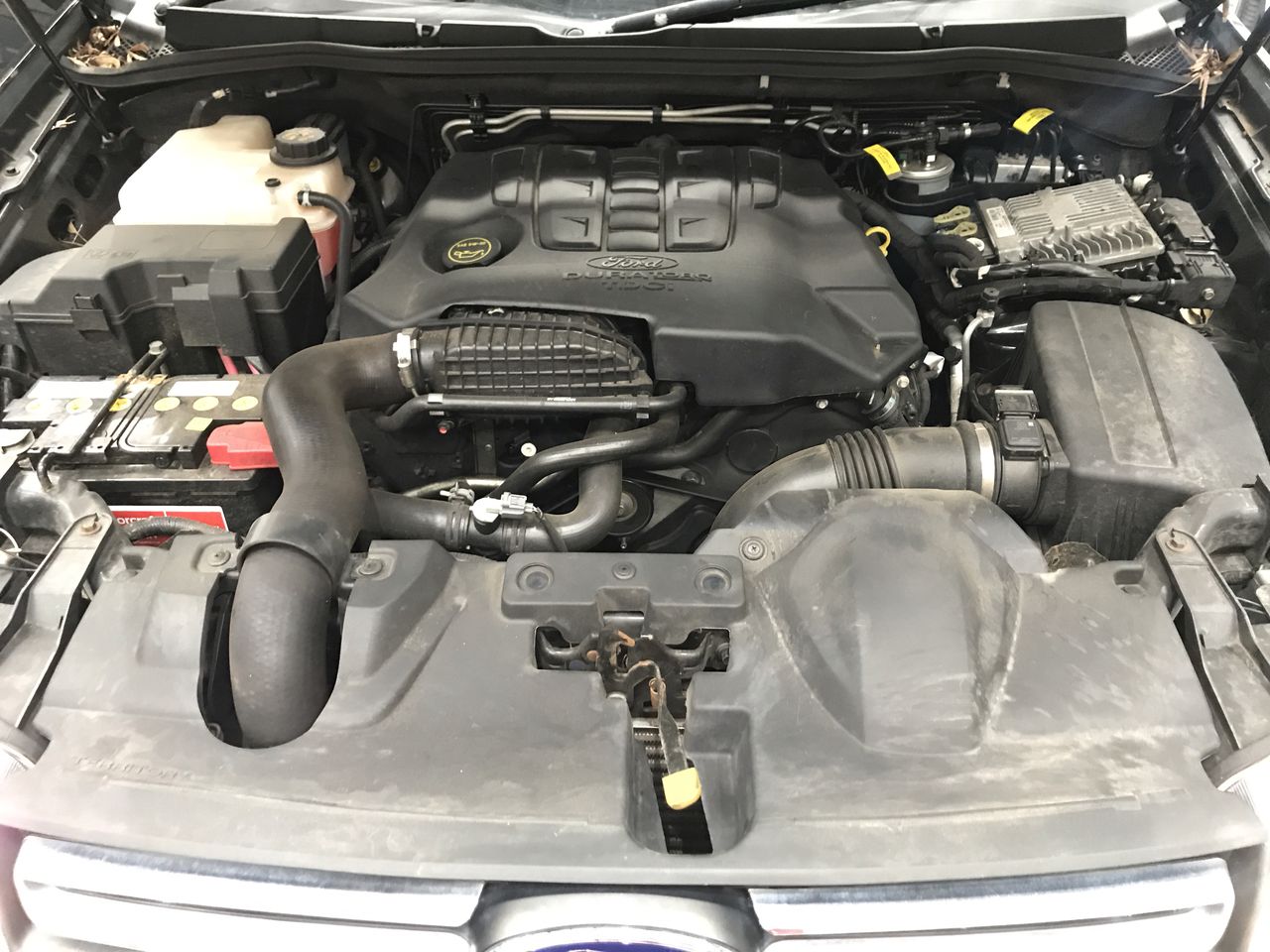 Barramundi Shiraz Petit Verdot 2019 (12x 750mL) SEA