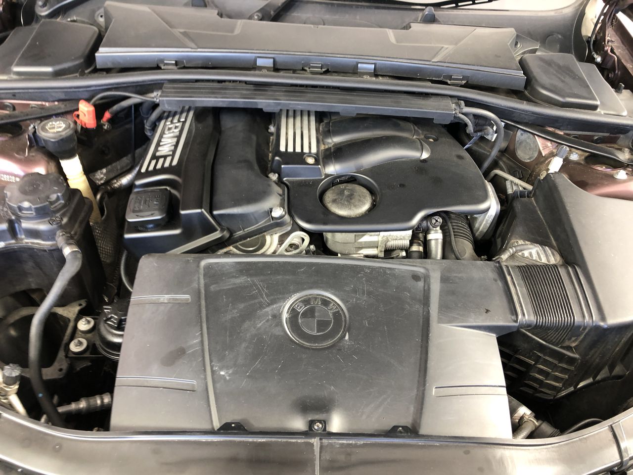 Peter Lehmann Cellar Archives Shiraz 2016 (12x 750mL), Barossa.