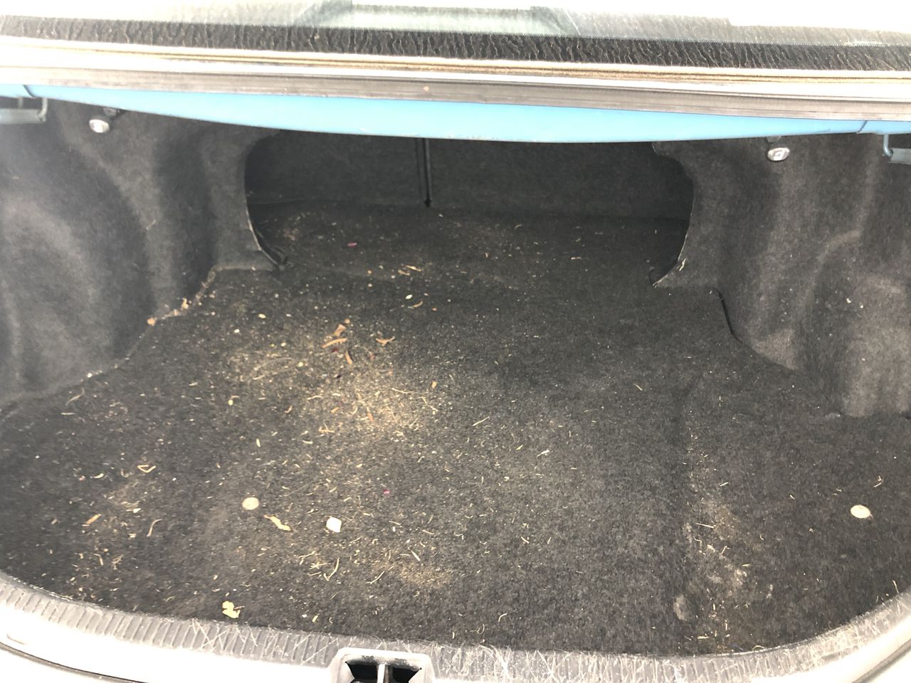 Fishbone Blue Merlot 2022 (6x 750mL) Margaret River