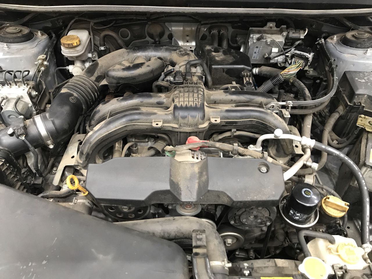 Dee Vine Estate Range Pinot Grigio 2025 (12x 750mL) NSW