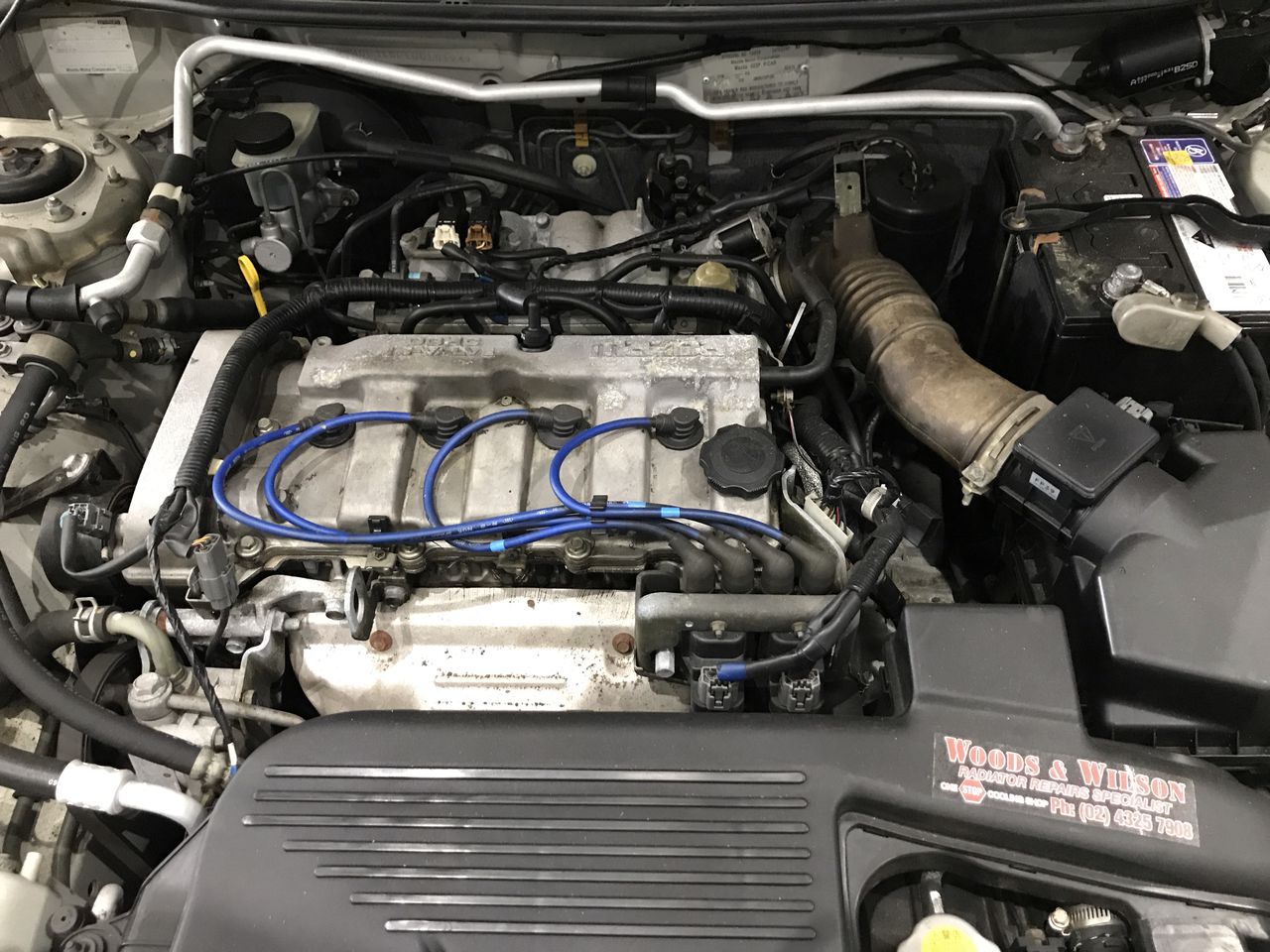 Stalking Horse Pinot Grigio 2025 (12x 750mL) Langhorne Creek