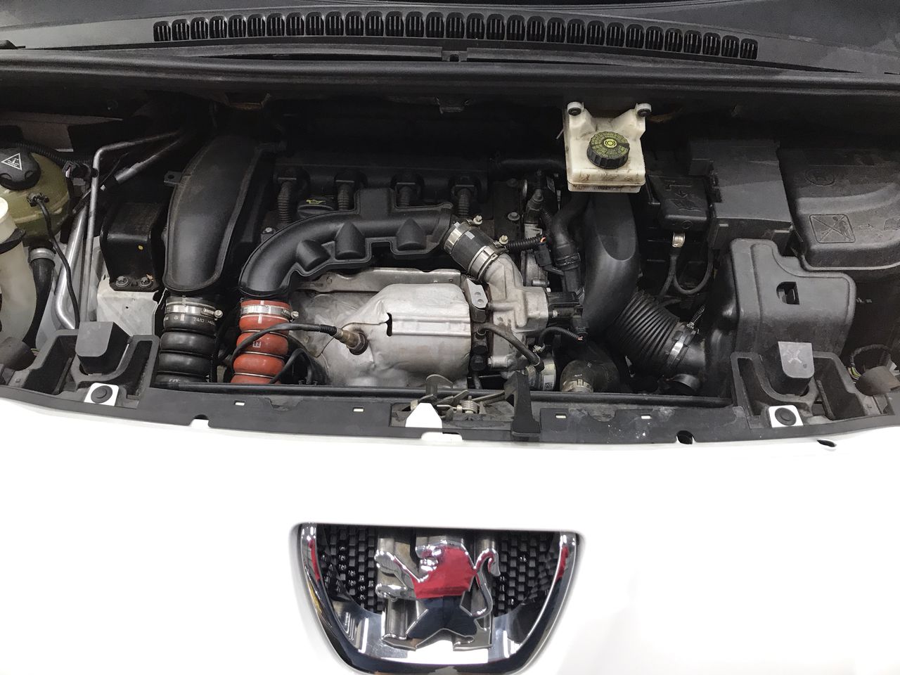 6mm Cherry Blossom Jasper Gemstones Beaded Bracelet.