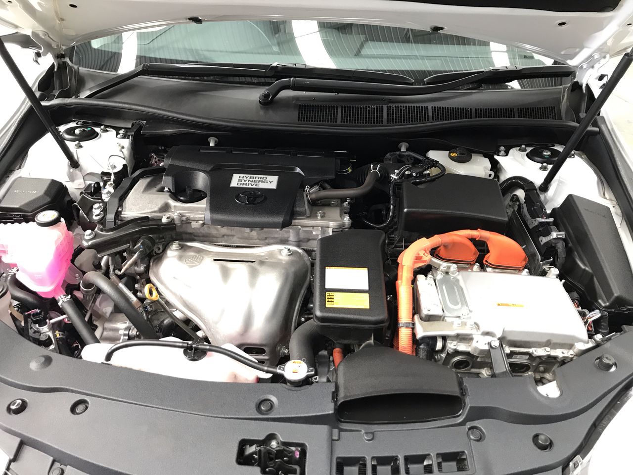 Bulk Handling Malt/Granular with Conveyor System Unit