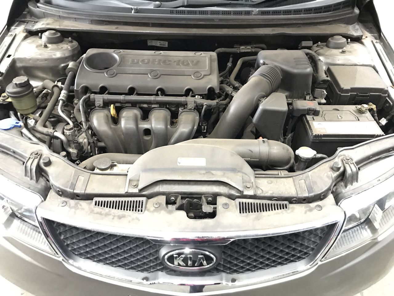 RAY-BAN Aviator Sunglasses