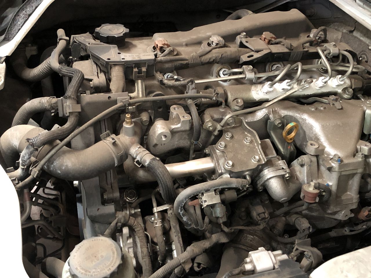 4 Carats Diamond Earrings in 18 ct Yellow Gold of 4.60 gram gold with IGI