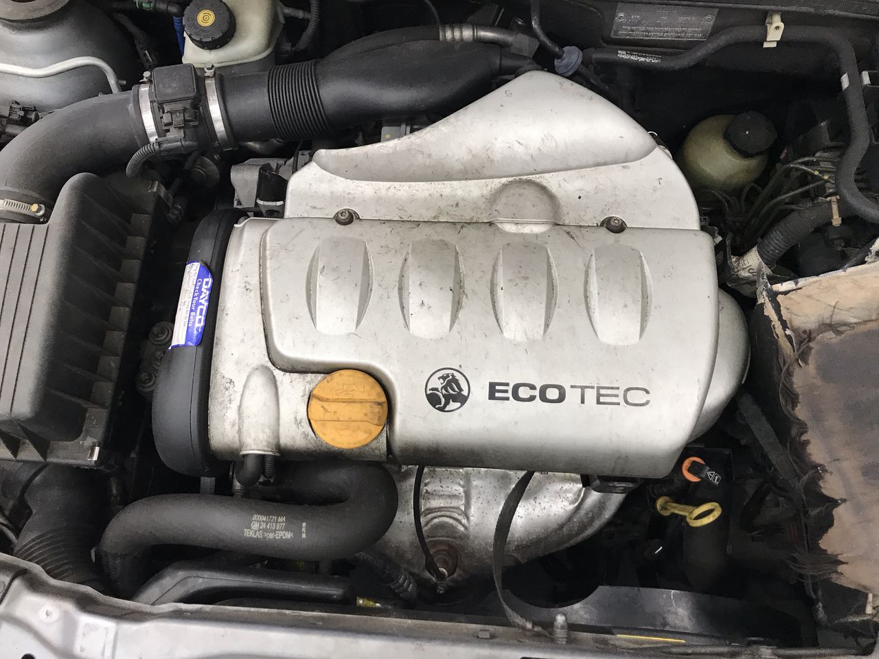 Barramundi Cabernet Sauvignon 2022 (12x 750mL) SEA