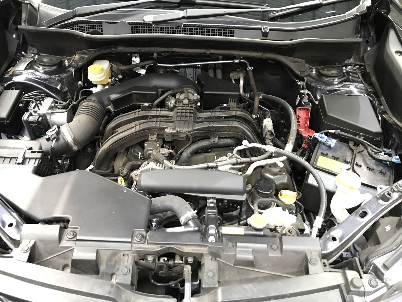 Landsworth Sauvignon Blanc 2025 (6x 750mL) Marlborough