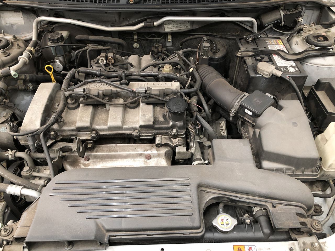 Abbott's Cove Sauvignon Blanc 2024 (6x 750mL) Marlborough