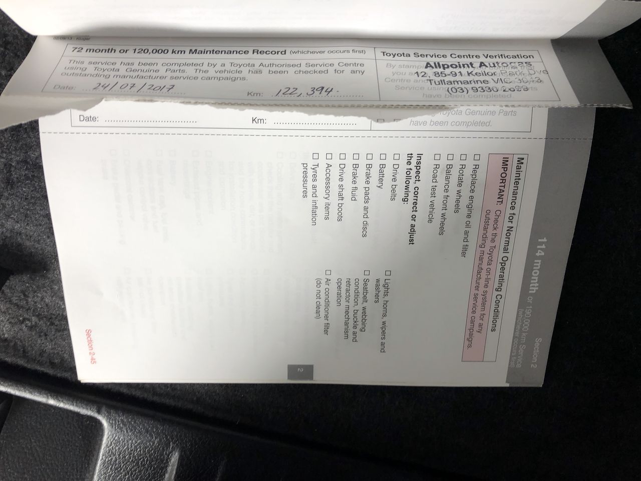 Stoutland V 117/163 – Battle Styles – Raw Pack Fresh