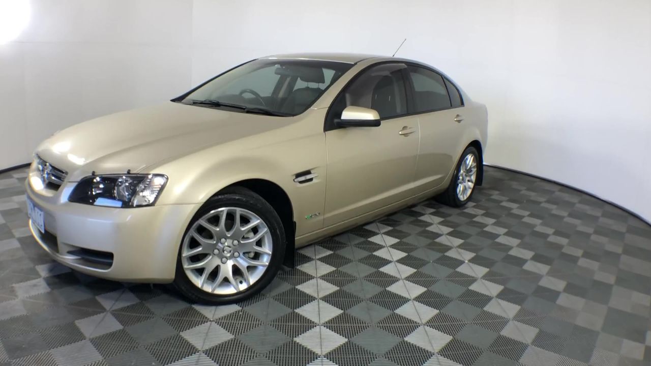 1/10 Oz 999.5 Silver Red Kangaroo & Joey 2025 Australian Bullion