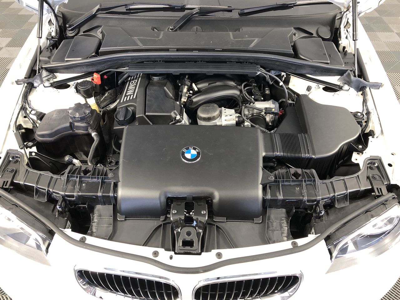 2005 Australia OneDollar Kangaroo Coin limited edition 6000 only rare