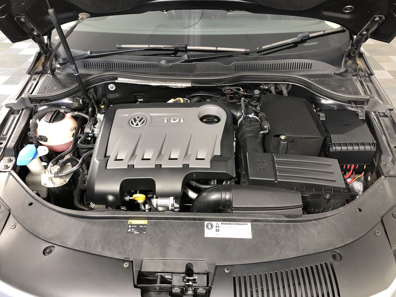 alolan exeggutor v 005/071 RR Japanese