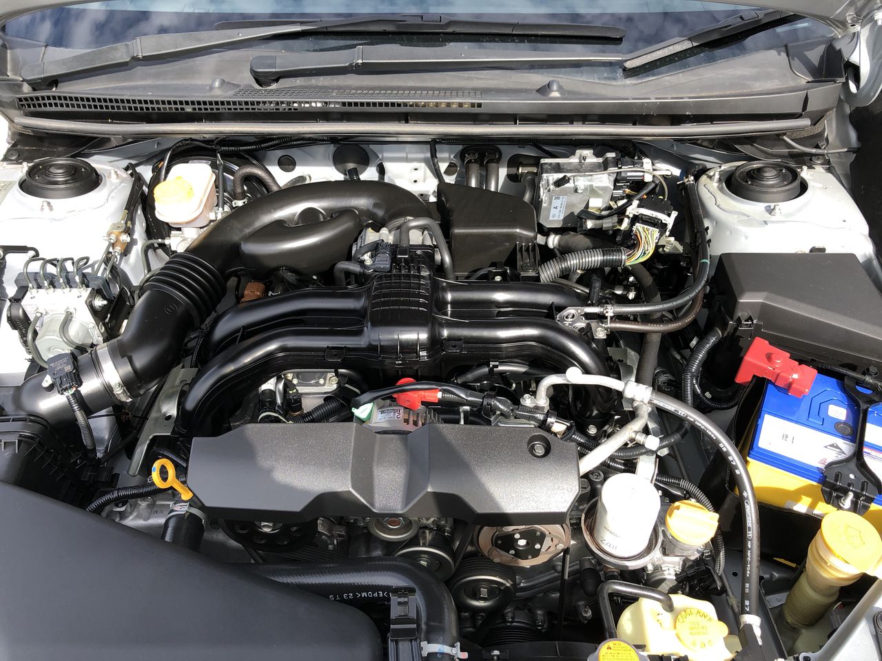 Barramundi Shiraz 2022 (12x 750mL) VIC