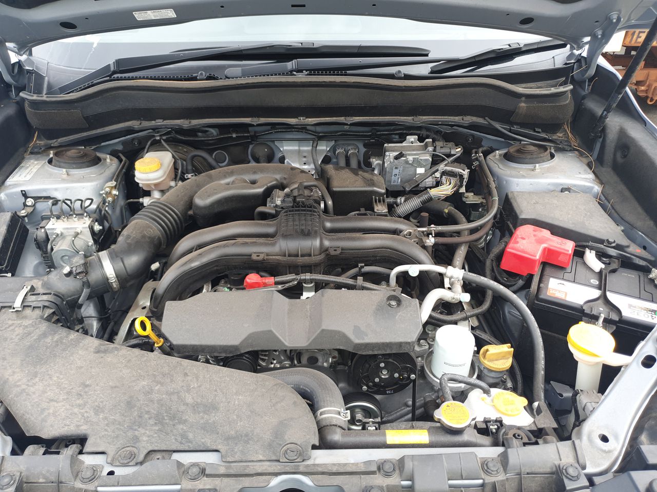 Roberts Estate Pinot Grigio 2024 (12x 750mL) SEA